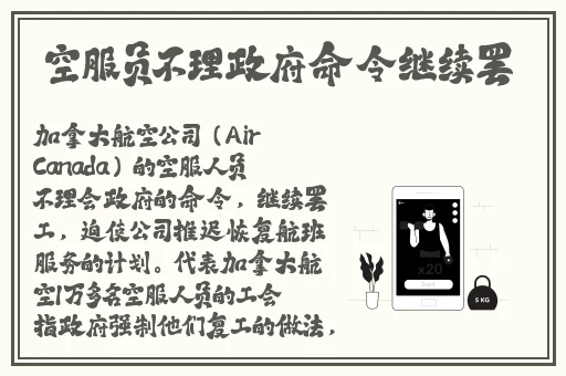 蜘蛛密友下载官网